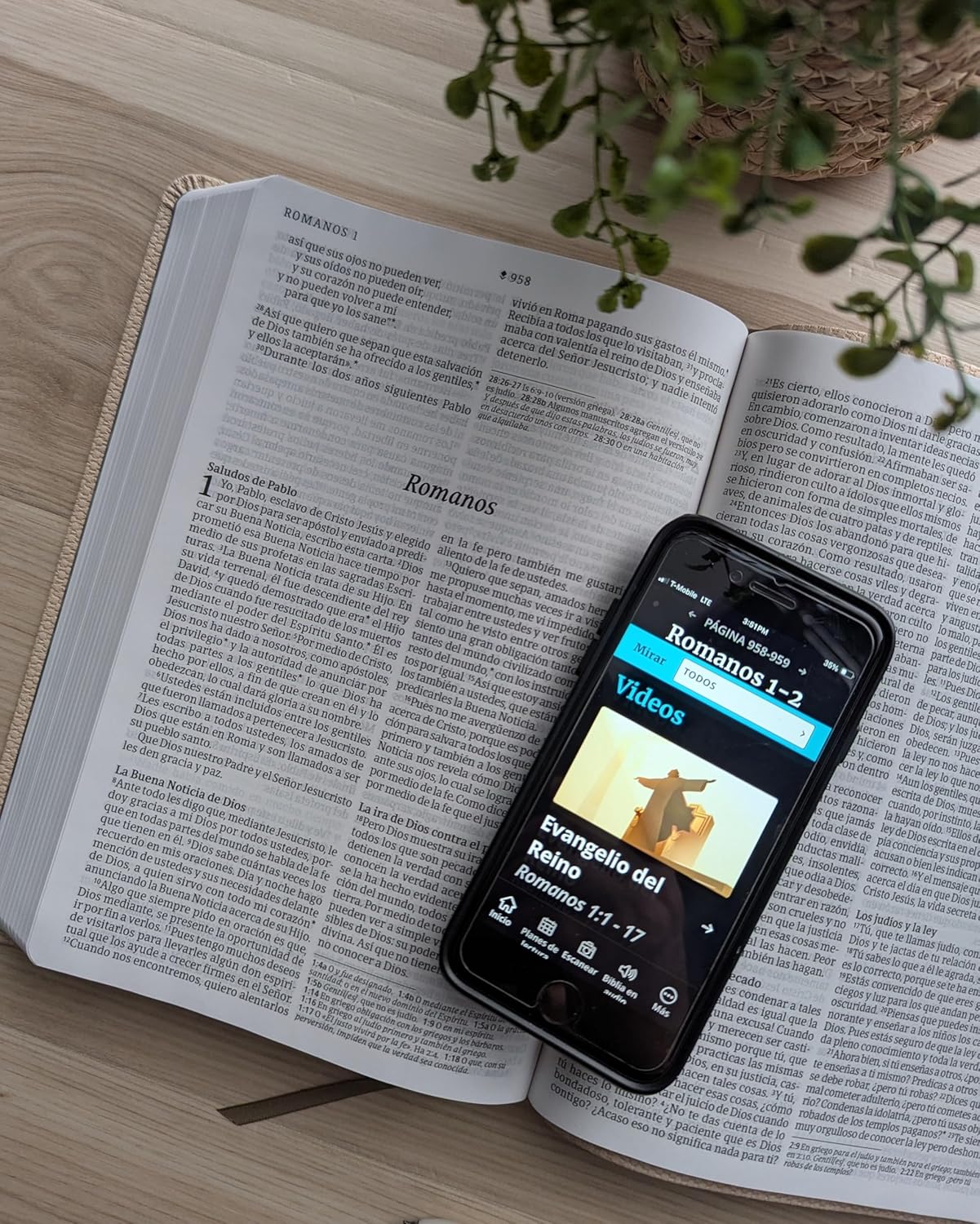 Biblia NTV valor premium cafe claro sim piel lt gde - Image 5