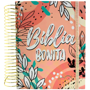 Biblia RVR Purificada Biblia bonita