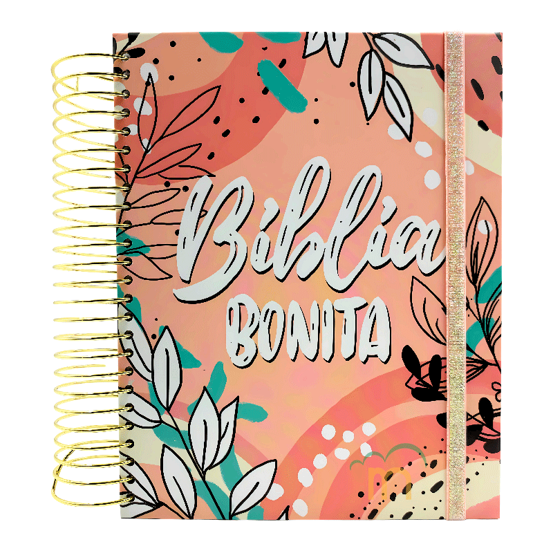 Biblia RVR Purificada Biblia bonita