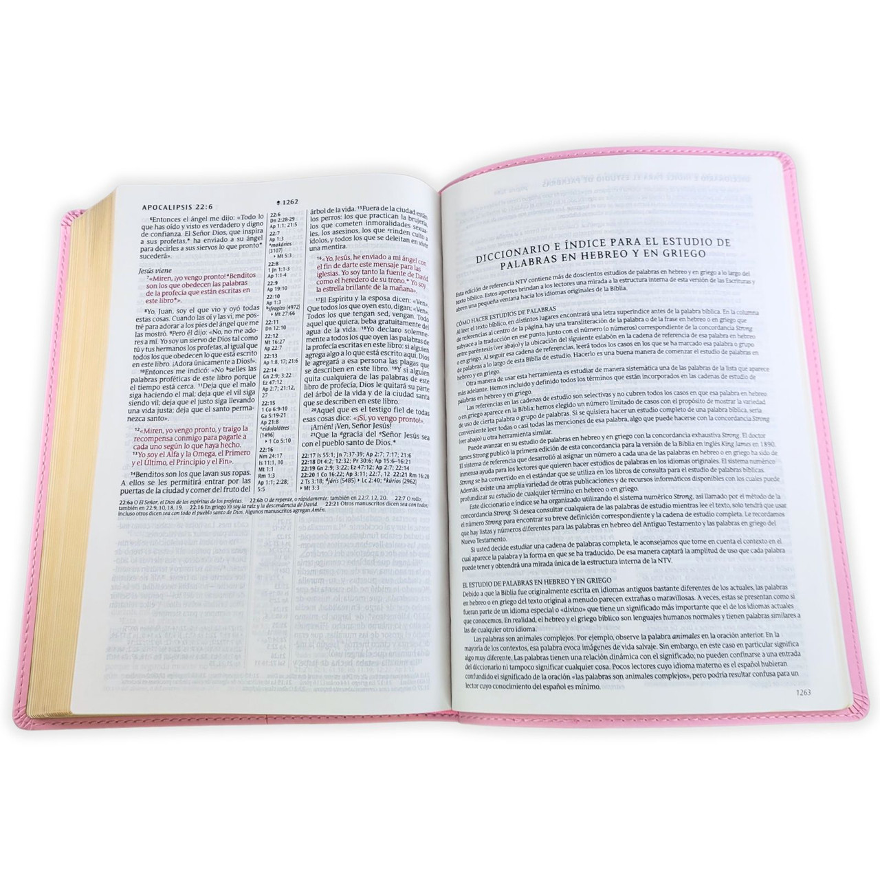 Biblia NTV de referencia en la columna central rosa sim piel lt gde