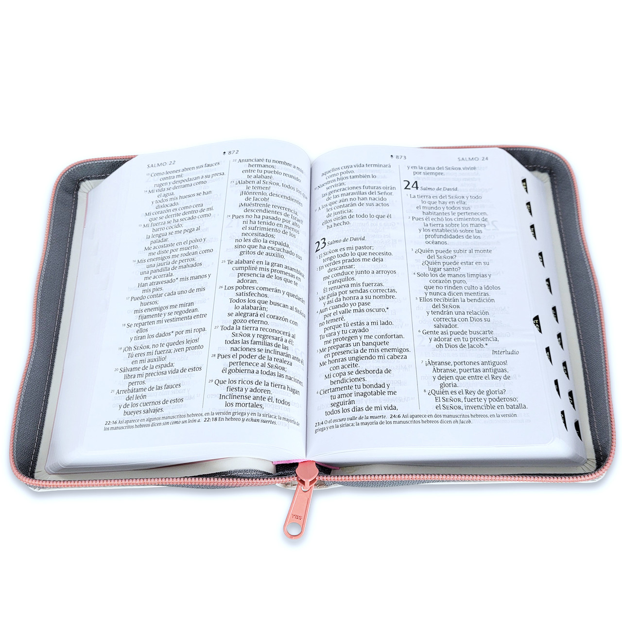Biblia NTV Edicion compacta con filament beige sim piel lt gde índice cierre 10pt