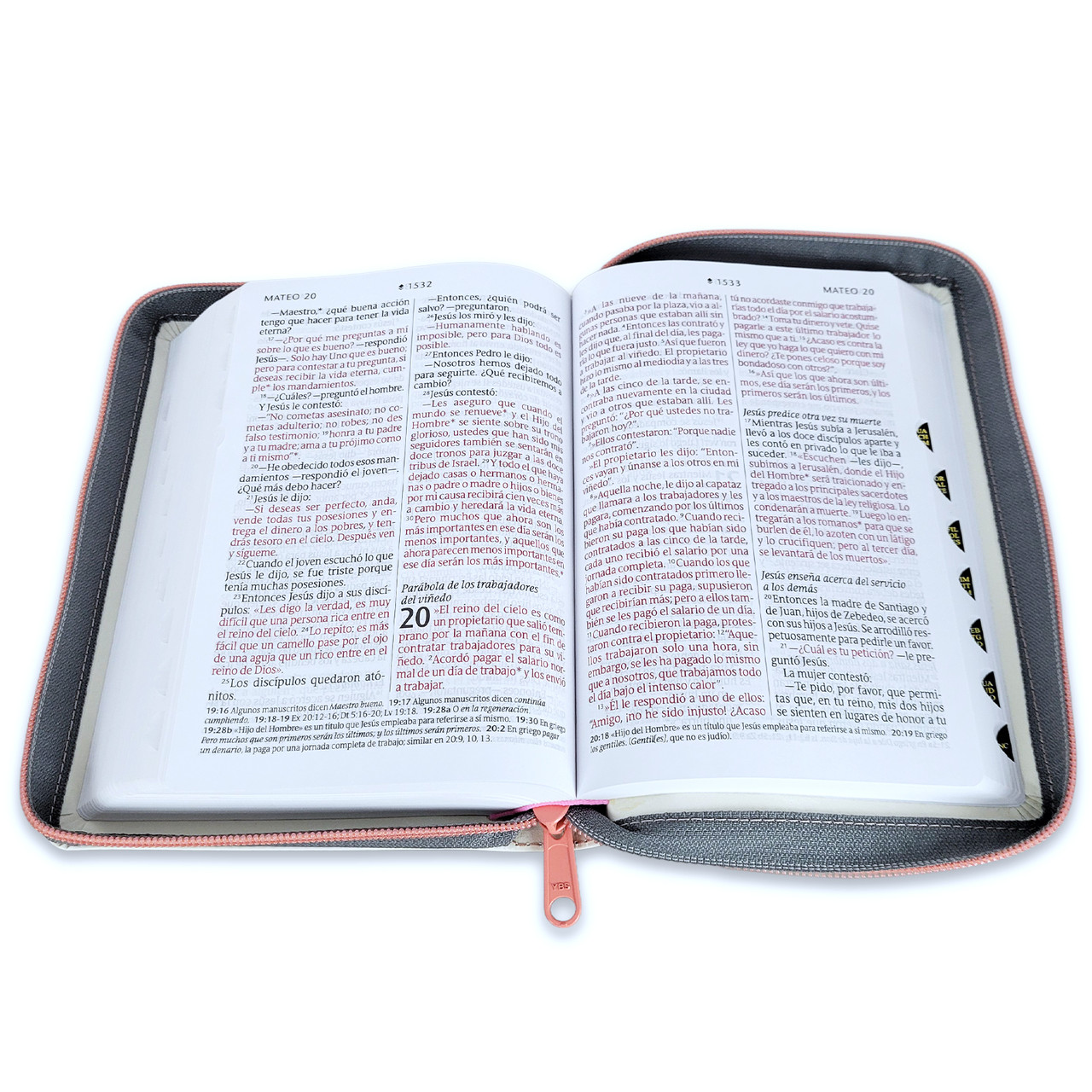 Biblia NTV Edicion compacta con filament beige sim piel lt gde índice cierre 10pt