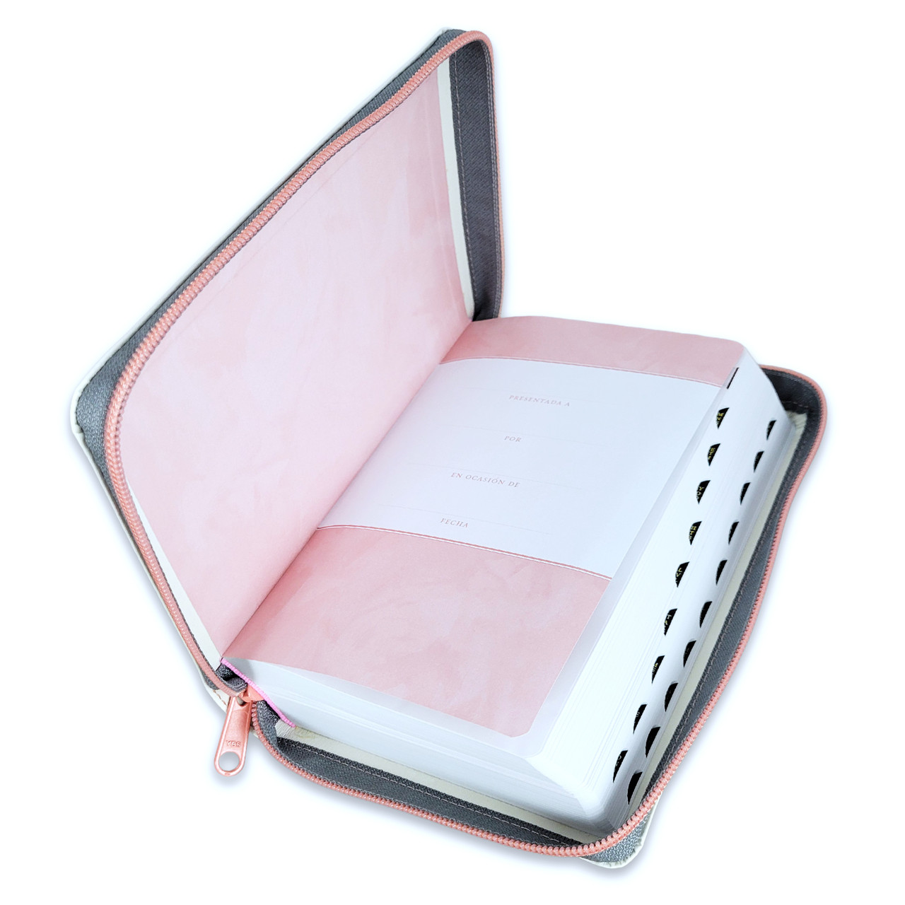 Biblia NTV Edicion compacta con filament beige sim piel lt gde índice cierre 10pt