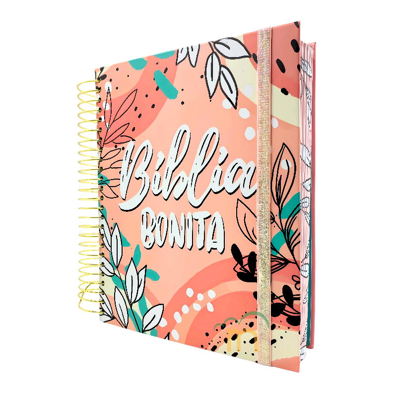 Biblia RVR Purificada Biblia bonita