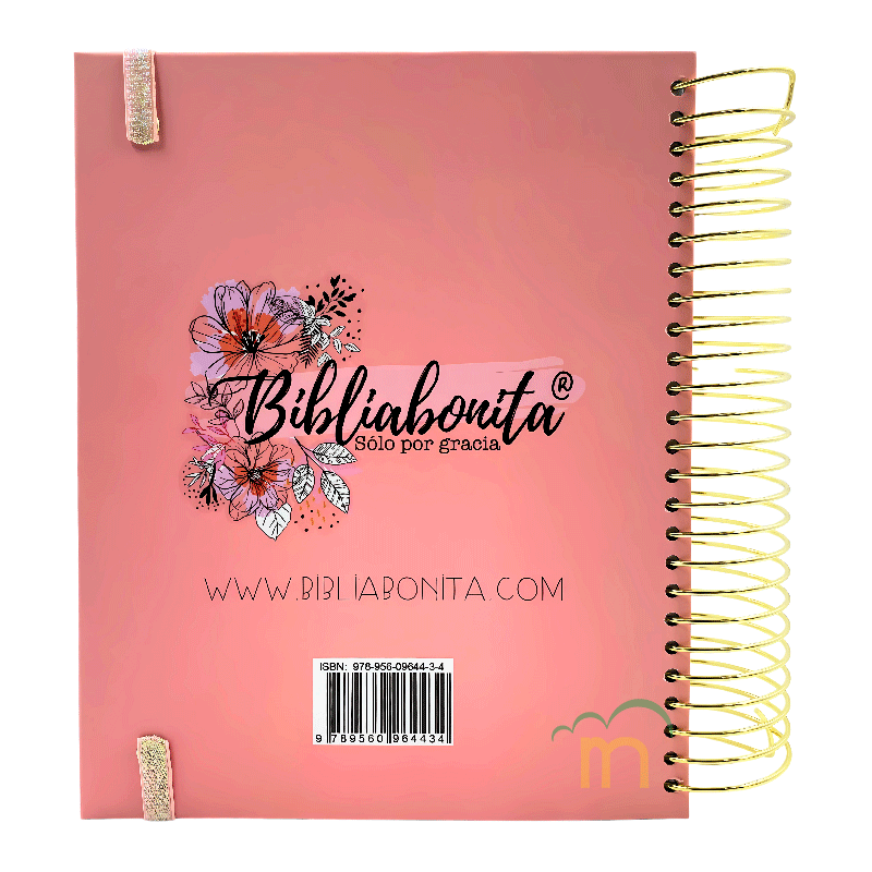 Biblia RVR Purificada Biblia bonita