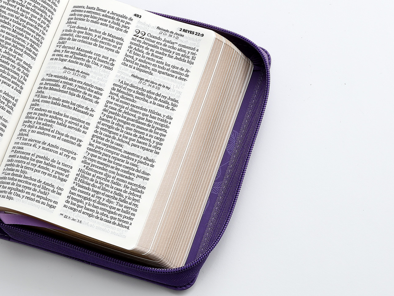 Biblia RVR1960 fidelidad lila hojas prim im piel cierre chica 10pt