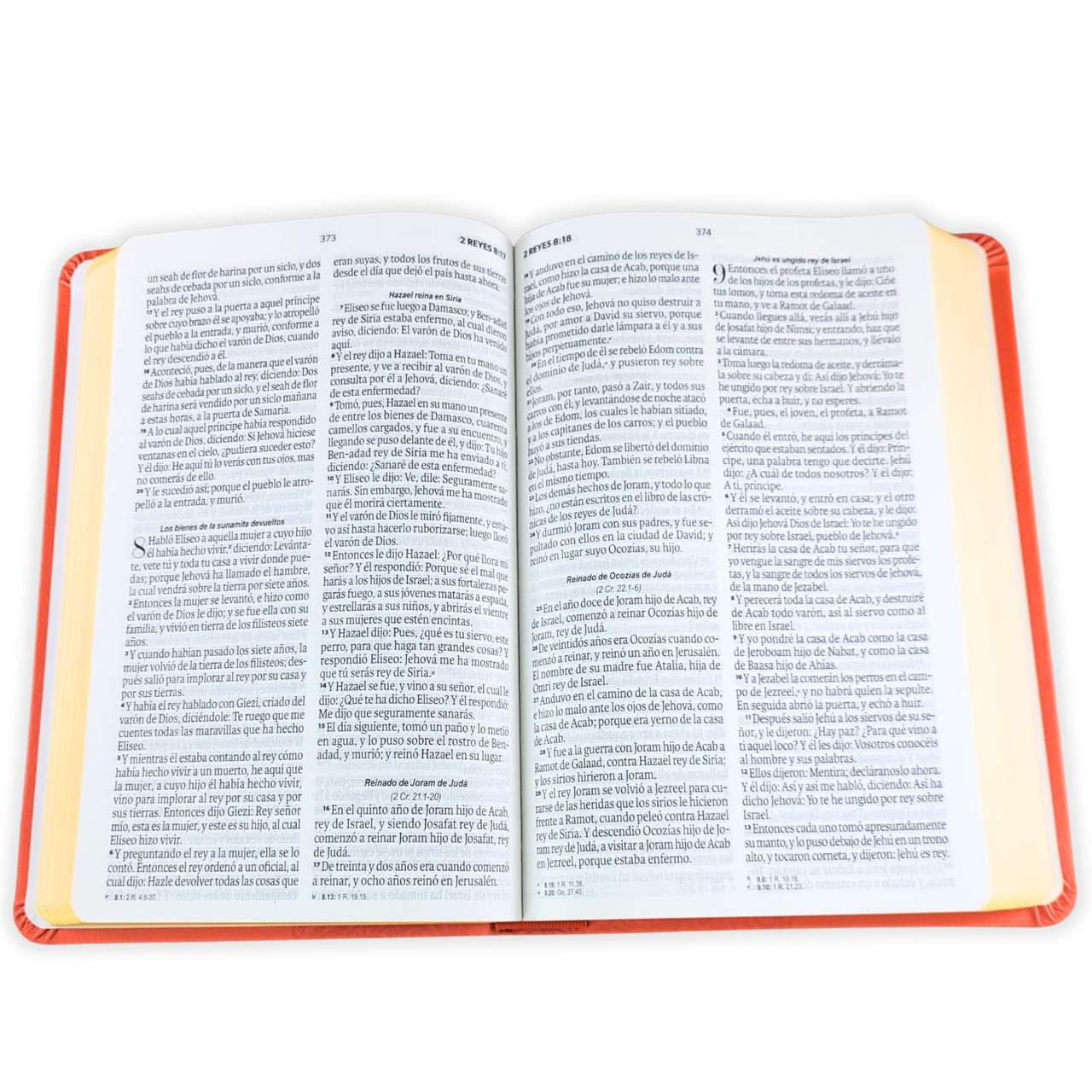 Biblia RVR1960 obsequios y premios coral