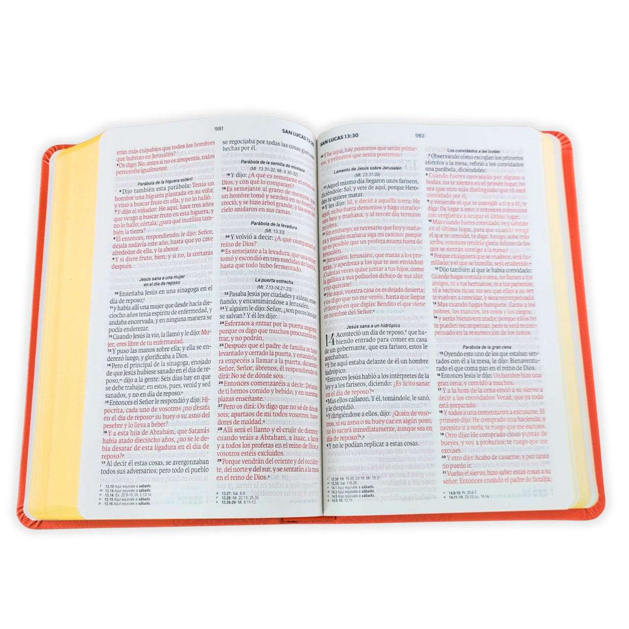 Biblia RVR1960 obsequios y premios coral