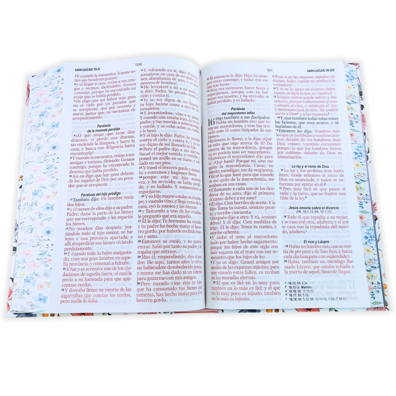 Biblia RVR1960 Primavera Blanca tapa dura manual 12.5pt