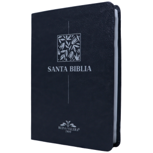 Biblia RV1909 mediana letra chica gris VR055 SS