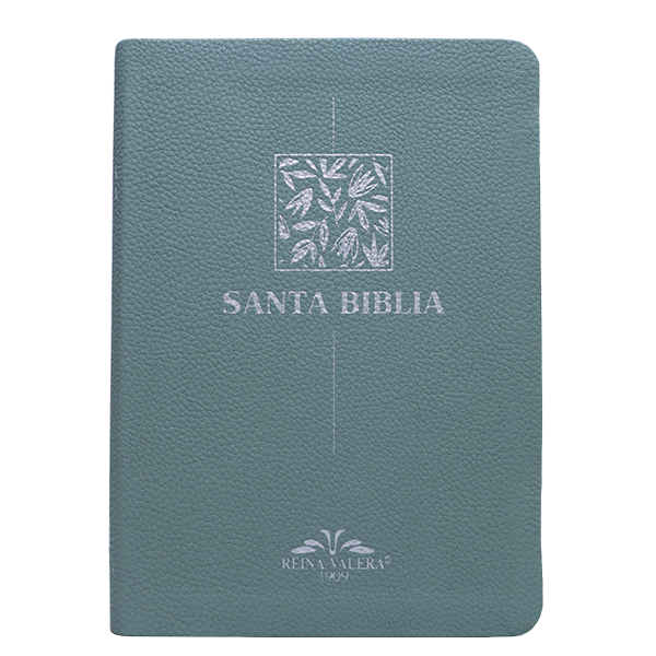 Biblia RV1909 mediana letra chica menta VR055 SS