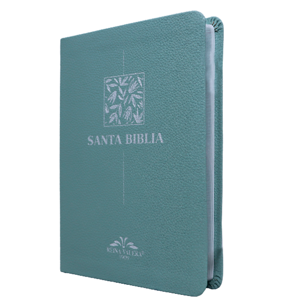 Biblia RV1909 mediana letra chica menta VR055 SS