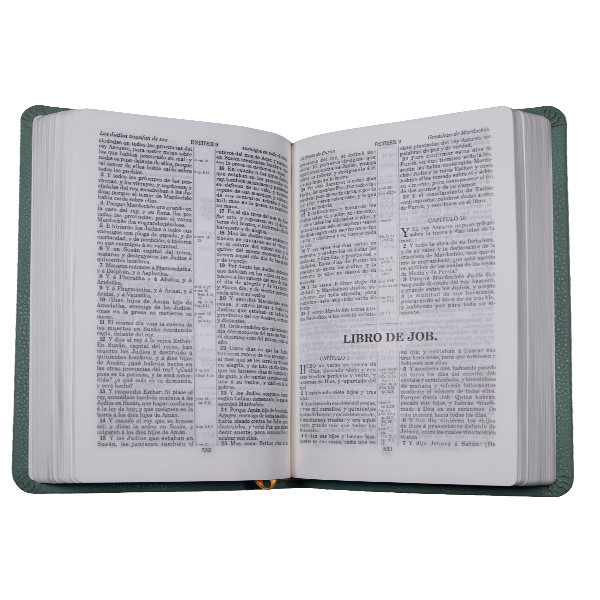 Biblia RV1909 mediana letra chica menta VR055 SS