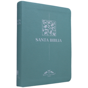 Biblia RV1909 mediana letra chica menta VR055 SS