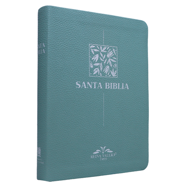Biblia RV1909 mediana letra chica menta VR055 SS