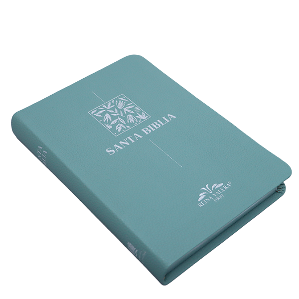 Biblia RV1909 mediana letra chica menta VR055 SS