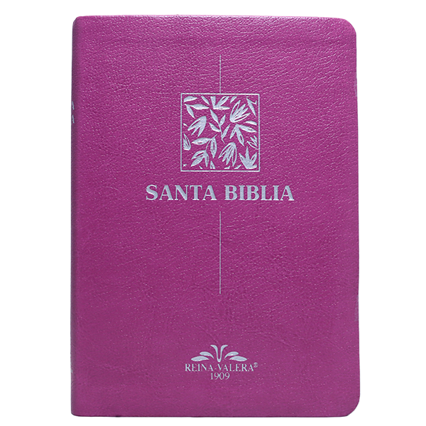 Biblia RV1909 mediana letra chica purpura VR055 SS