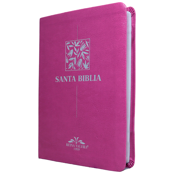 Biblia RV1909 mediana letra chica purpura VR055 SS