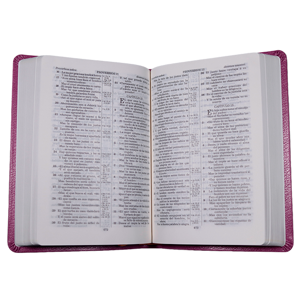 Biblia RV1909 mediana letra chica purpura VR055 SS