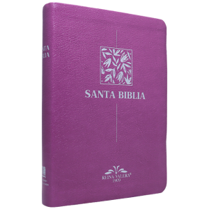 Biblia RV1909 mediana letra chica purpura VR055 SS