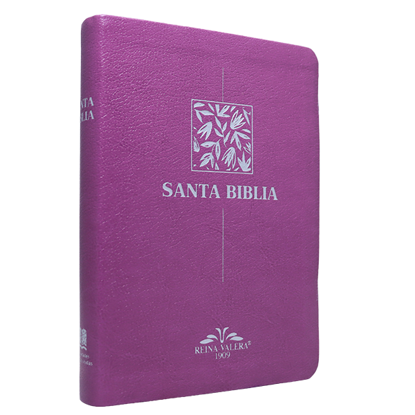 Biblia RV1909 mediana letra chica purpura VR055 SS