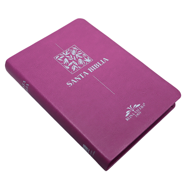 Biblia RV1909 mediana letra chica purpura VR055 SS