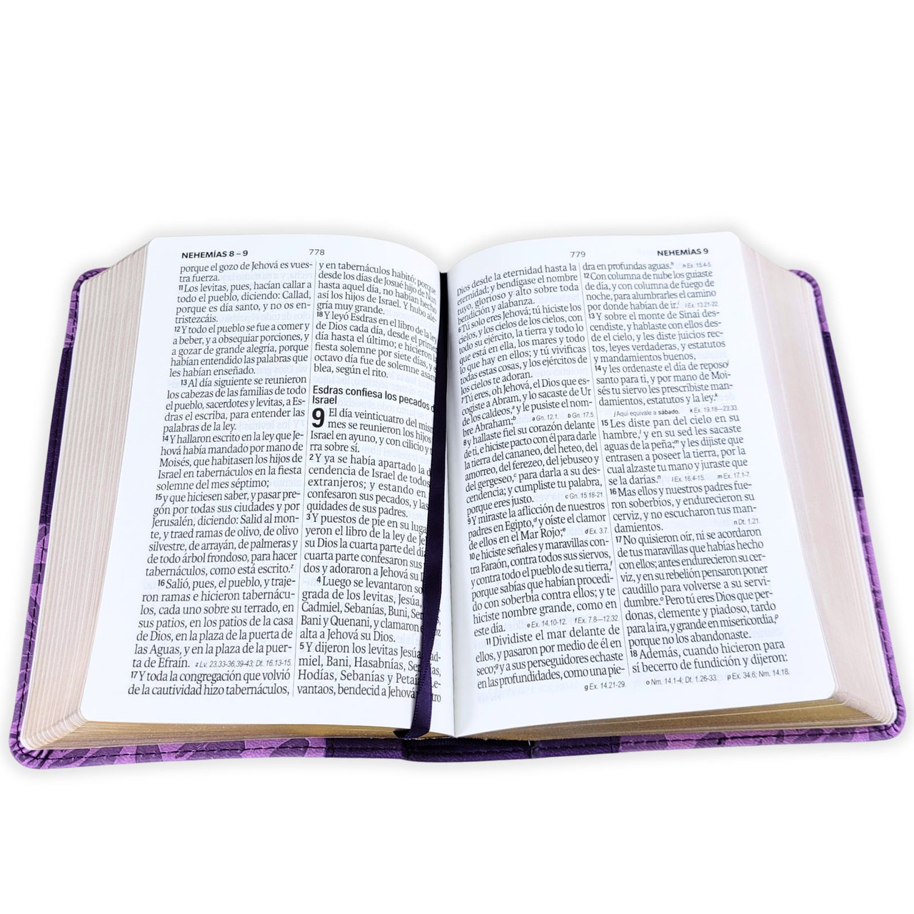 Biblia RVR1960 Bicolor lila/lila im piel CH 12P