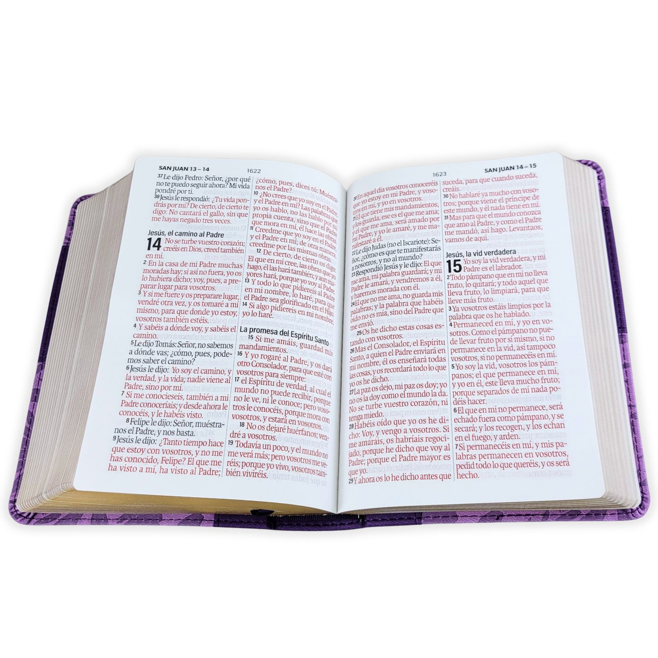 Biblia RVR1960 Bicolor lila/lila im piel CH 12P