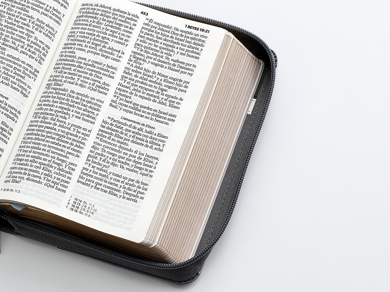 Biblia RVR1960 Fidelidad tricolor neg bco gris im piel cierre chica 10pt