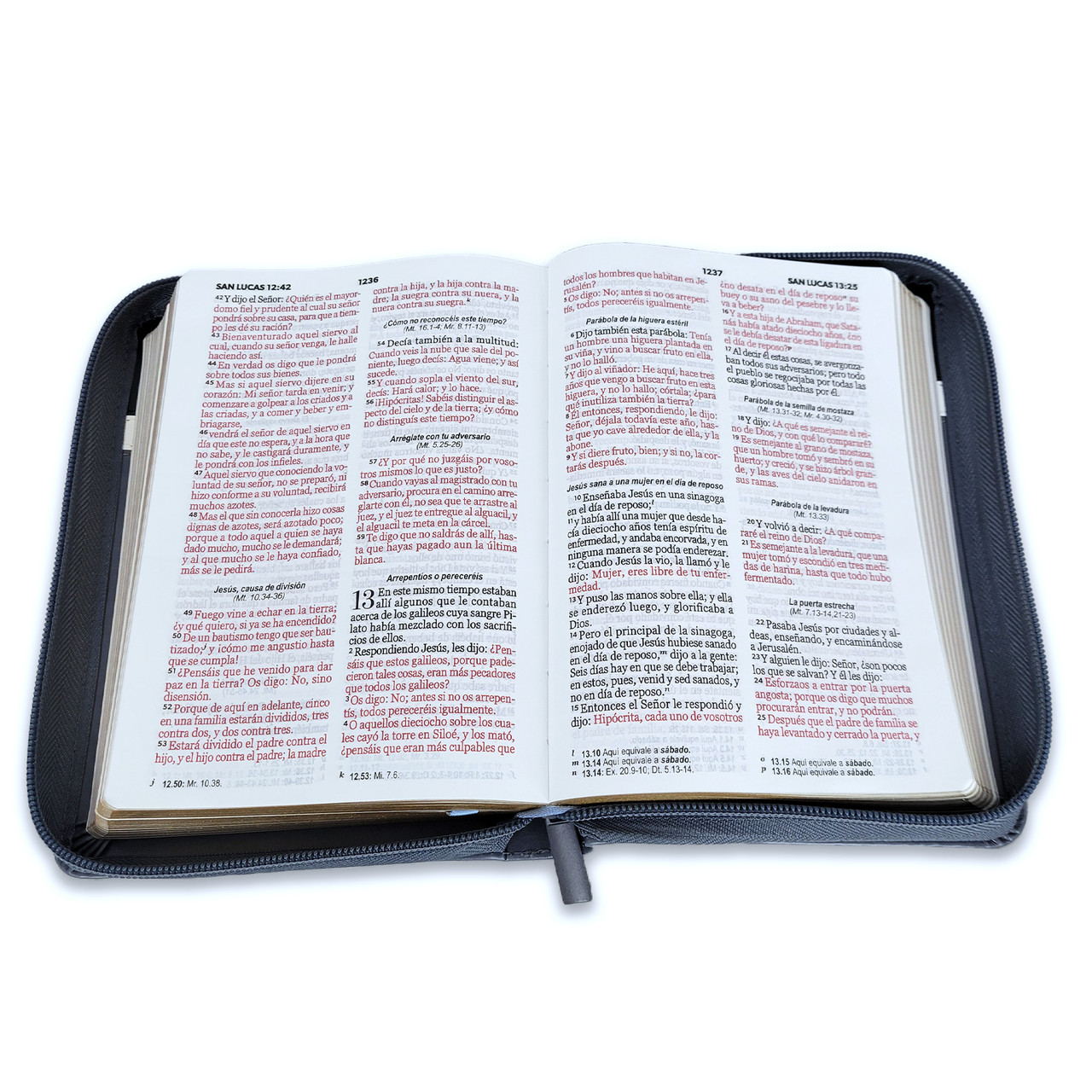 Biblia RVR1960 Fidelidad tricolor neg bco gris im piel cierre chica 10pt