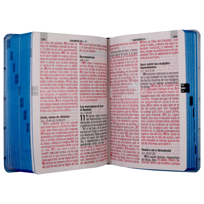 Biblia RVR1960 med let gigante semiflexible azul ancla 14P RVR.61cLGPJR