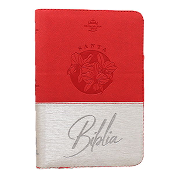 Biblia RVR1960 mediana beige rojo QR RVR066cLGZTI PJR