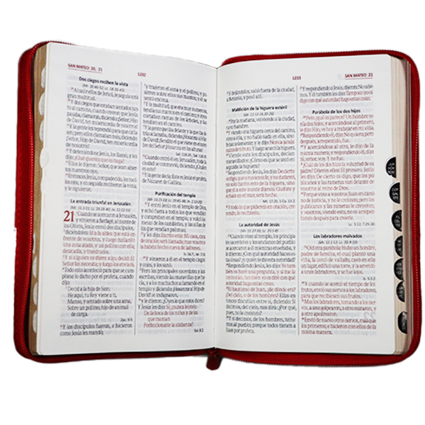 Biblia RVR1960 mediana beige rojo QR RVR066cLGZTI PJR