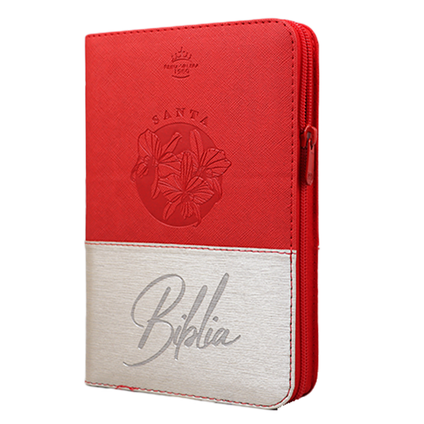 Biblia RVR1960 mediana beige rojo QR RVR066cLGZTI PJR