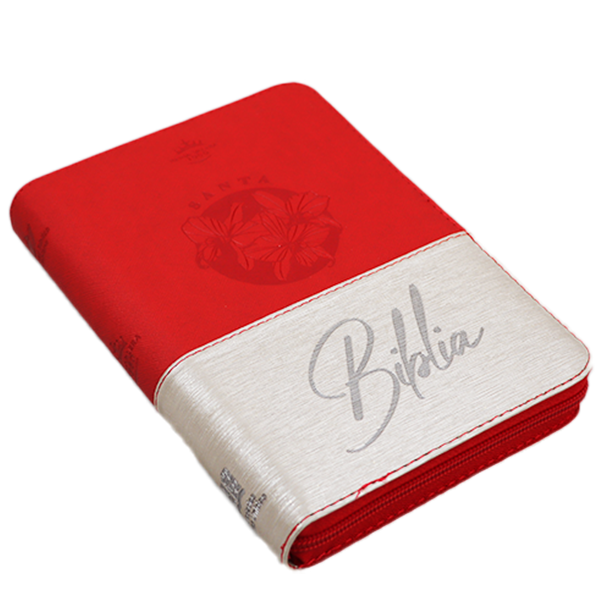 Biblia RVR1960 mediana beige rojo QR RVR066cLGZTI PJR