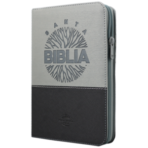 Biblia RVR1960 mediana gris negro QR RVR066cLGZTI PJR