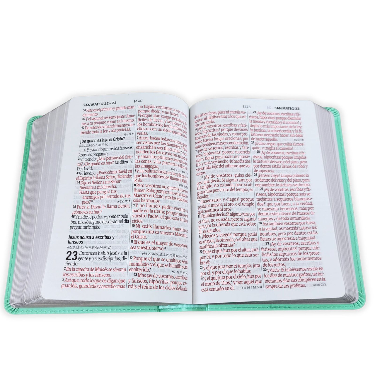 Biblia RVR1960 Neoclassic Turquesa im piel TC 12P