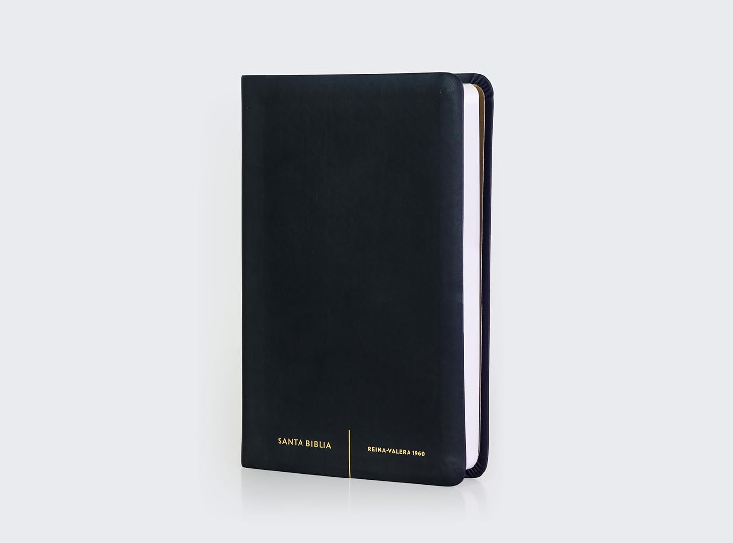 Biblia RVR1960 premios y regalos negra im piel 10.5pt