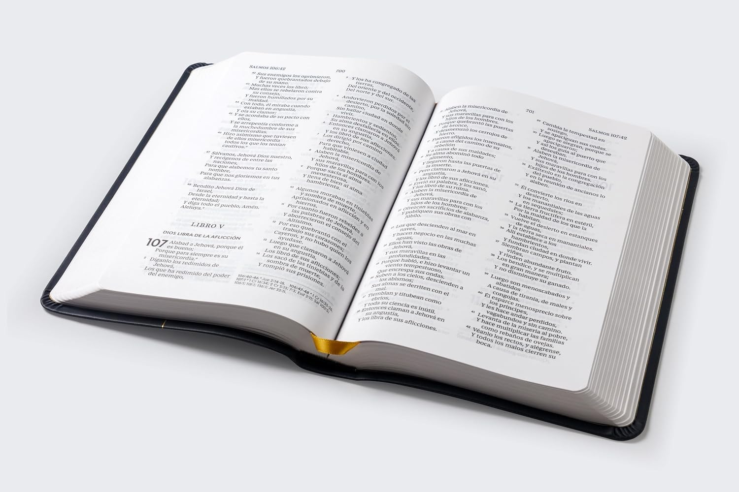 Biblia RVR1960 premios y regalos negra im piel 10.5pt