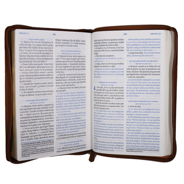 Biblia TLA El camino la verdad y la vida miel TLA066LGZ PJR