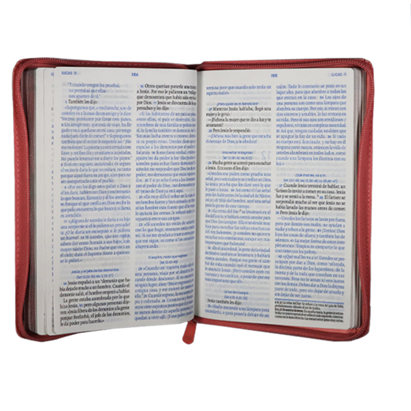 Biblia TLA El camino la verdad y la vida rosa TLA066LGZ PJR